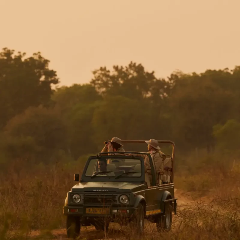 Aman-i-Khas, India - Experience, Safari (1)_0